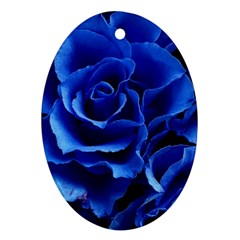 Roses-flowers-plant-romance Oval Ornament (two Sides) by Sapixe
