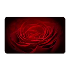 Rose-red-rose-red-flower-petals-waves-glow Magnet (rectangular) by Sapixe