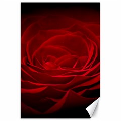 Rose-red-rose-red-flower-petals-waves-glow Canvas 12  X 18 