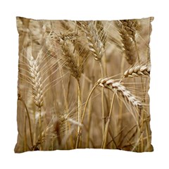 Wheat-field Standard Cushion Case (one Side) by SomethingForEveryone