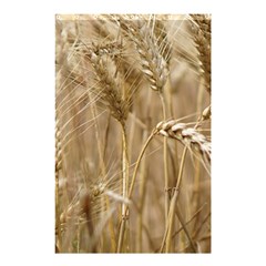 Wheat-field Shower Curtain 48  X 72  (small)  by SomethingForEveryone