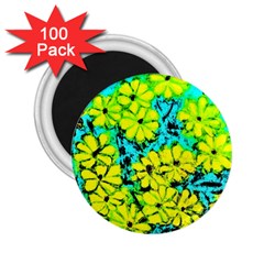 Chrysanthemums 2.25  Magnets (100 pack) 