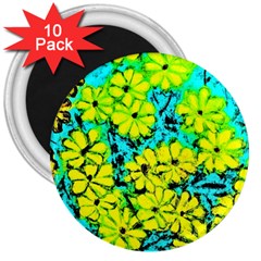 Chrysanthemums 3  Magnets (10 pack) 