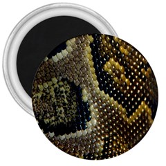 Leatherette Snake 2 3  Magnets by skindeep