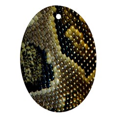 Leatherette Snake 2 Ornament (oval) by skindeep