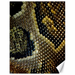 Leatherette Snake 2 Canvas 18  X 24  by skindeep
