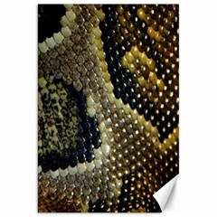 Leatherette Snake 2 Canvas 20  X 30  by skindeep