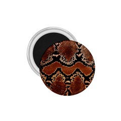 Leatherette Snake 3 1 75  Magnets by skindeep