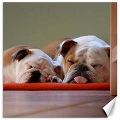 2 Sleeping Bulldogs Canvas 16  X 16  by SomethingForEveryone