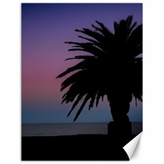 Sunset Coastal Scene, Montevideo Uruguay Canvas 12  X 16  by dflcprintsclothing