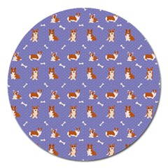 Cute Corgi Dogs Magnet 5  (round) by SychEva