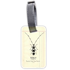Img016 Luggage Tag (one Side) by Limerence