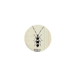 Banded Alder Borer  1  Mini Buttons by Limerence