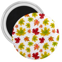 Bright Autumn Leaves 3  Magnets by SychEva