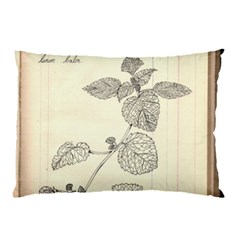 Lemon Balm Pillow Case by Limerence