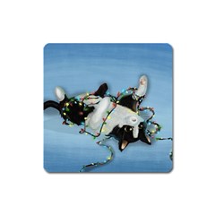 Christmas Cat Square Magnet by Blueketchupshop