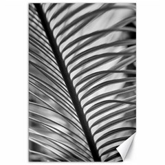 Cycas Leaf The Shadows Canvas 20  X 30 