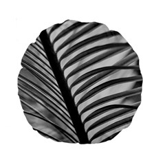 Cycas Leaf The Shadows Standard 15  Premium Round Cushions by DimitriosArt