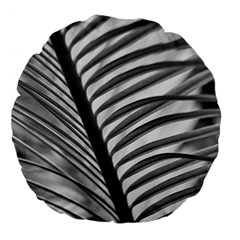 Cycas Leaf The Shadows Large 18  Premium Flano Round Cushions by DimitriosArt