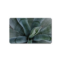 The Agave Heart Under The Light Magnet (name Card) by DimitriosArt