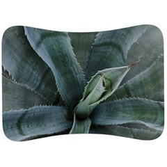 The Agave Heart Under The Light Velour Seat Head Rest Cushion by DimitriosArt