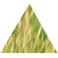 Golden Grass Abstract Wooden Puzzle Triangle by DimitriosArt