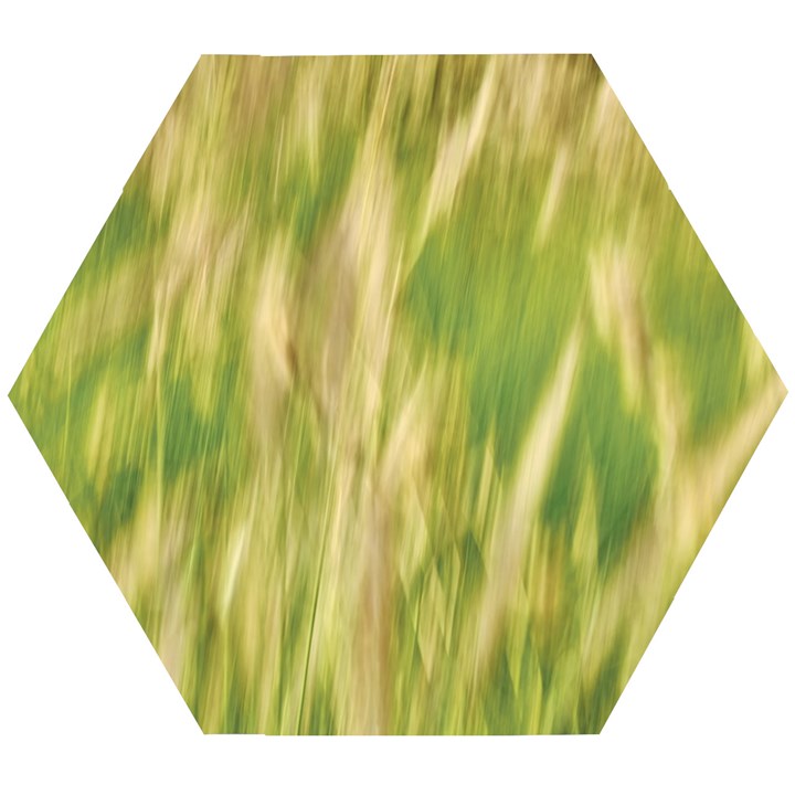Golden Grass Abstract Wooden Puzzle Hexagon
