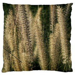 Fountain Grass Under The Sun Standard Flano Cushion Case (one Side) by DimitriosArt