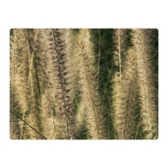 Fountain Grass Under The Sun Double Sided Flano Blanket (mini)  by DimitriosArt