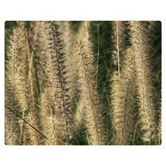 Fountain Grass Under The Sun Double Sided Flano Blanket (medium)  by DimitriosArt