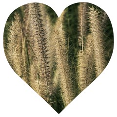 Fountain Grass Under The Sun Wooden Puzzle Heart by DimitriosArt