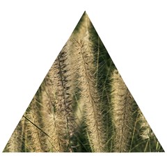 Fountain Grass Under The Sun Wooden Puzzle Triangle by DimitriosArt