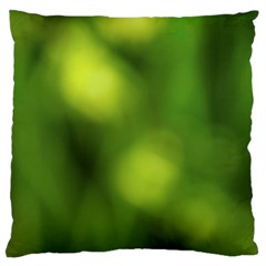 Green Vibrant Abstract No3 Large Cushion Case (one Side) by DimitriosArt