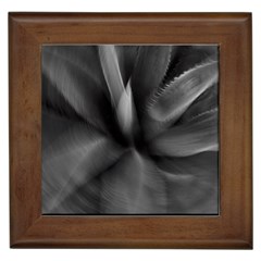 Black Agave Heart In Motion Framed Tile by DimitriosArt