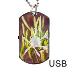The Little Star On The Sand Dog Tag Usb Flash (one Side) by DimitriosArt