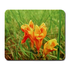 Orange On The Green Large Mousepads by DimitriosArt