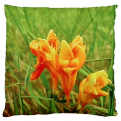 Orange On The Green Standard Flano Cushion Case (two Sides) by DimitriosArt