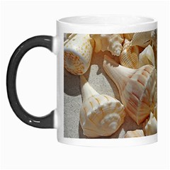 Sea-shells Bg Morph Mugs by SomethingForEveryone