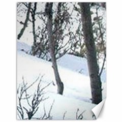 Winter Forest Canvas 36  X 48  by SomethingForEveryone