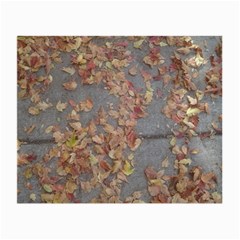 Sidewalk Leaves Small Glasses Cloth