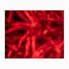 Cadmium Red Abstract Stars Small Glasses Cloth