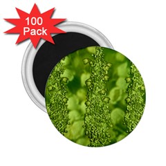 Green Fresh  Lilies Of The Valley The Return Of Happiness So Decorative 2 25  Magnets (100 Pack)  by pepitasart