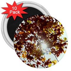 Golden Leaf s 3  Magnets (10 Pack)  by DimitriosArt