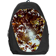 Golden Leaf s Backpack Bag by DimitriosArt