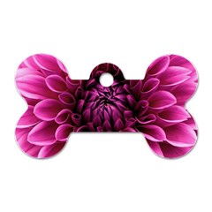 Dahlia-flower-purple-dahlia-petals Dog Tag Bone (one Side)