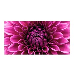 Dahlia-flower-purple-dahlia-petals Satin Wrap