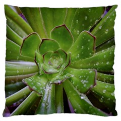 The Heart Of The Green Sun Standard Flano Cushion Case (one Side) by DimitriosArt