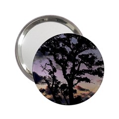 Sunset Coastal Park Landscape, Montevideo Uruguay 2 25  Handbag Mirrors by dflcprintsclothing