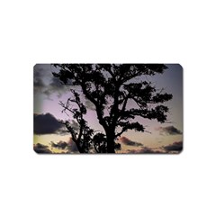 Sunset Coastal Park Landscape, Montevideo Uruguay Magnet (name Card) by dflcprintsclothing