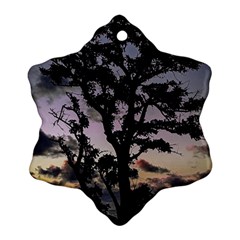 Sunset Coastal Park Landscape, Montevideo Uruguay Ornament (snowflake) by dflcprintsclothing